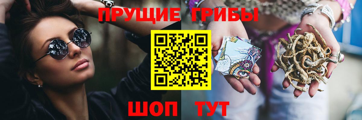Галлюциногенные грибы прущие грибы Бузулук